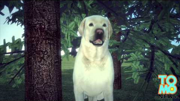 Ein fast 2 Jahre lang vermisster Hund wird unversehrt in der Nähe vom Tahoe See gefunden