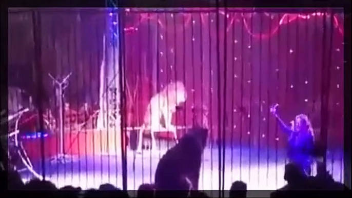 Terrifying footage _ Lion Injured Female Trainer during circus performance