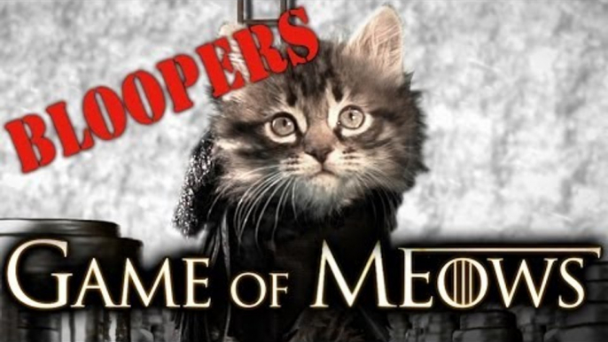 Game Of Thrones (Cute Kitten Version Bloopers)