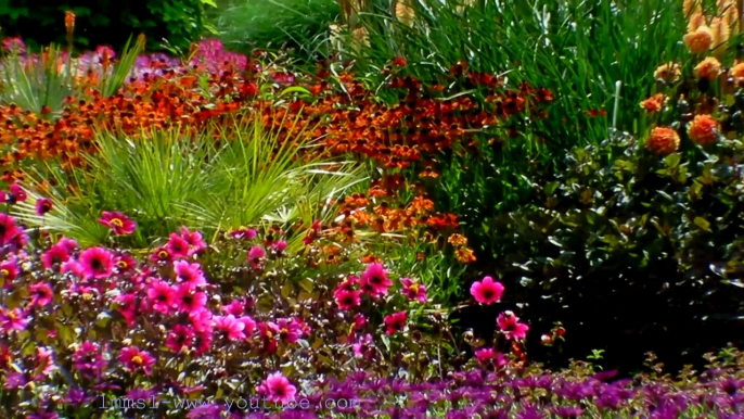 Royal Botanic Gardens Kew - Plants,People,Possibilities