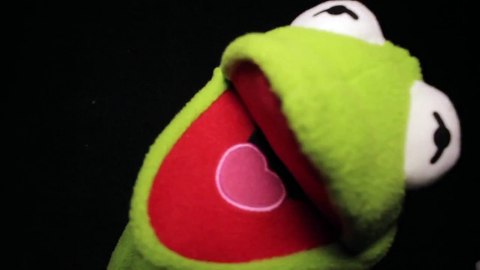 But That's None Of My Business: Kermit The Frog