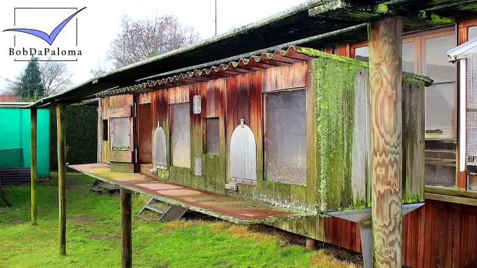 Dirk Van Dyck, Belgium [Racing Pigeons Loft / Taubenschlag / Palomar] (2015)