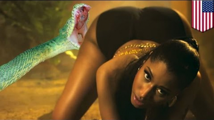 Bailarín de Nicki Minaj es mordido por una serpiente durante un ensayo para los MTV VMA 2014