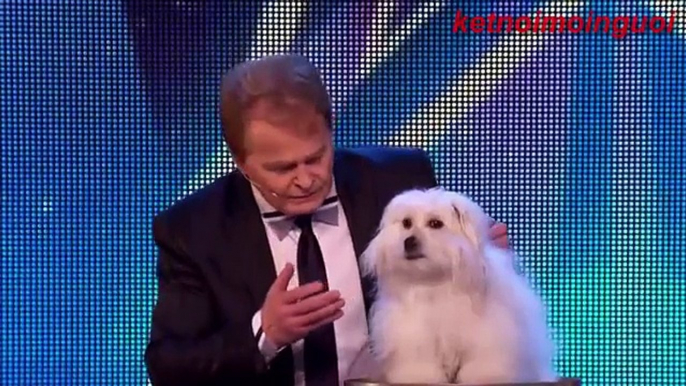 Chú chó biết nói tiếng người - Chuyện lạ ở Britain's Got Talent || Không thể tin vào mắt mình được