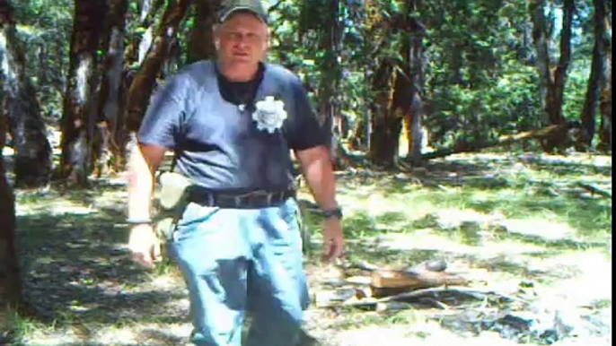 Bigfoot Trail Cam Video with Deer, Spotted Fawns and Bears