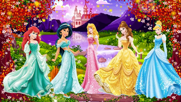 Disney Princess Finger Family Collection cartoon Aurora Belle Pocahontas  Ariel Cinderella