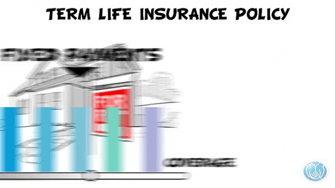 Life Insurance