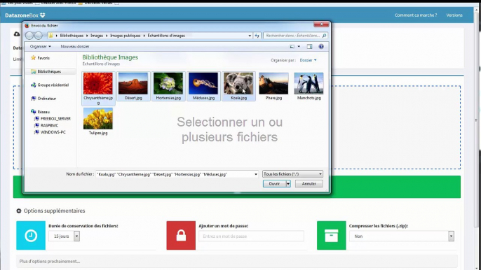 Partager vos fichiers avec Datazonebox