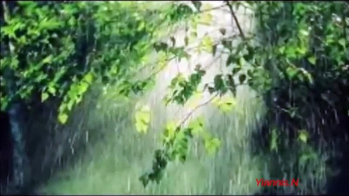 Terence Trent D'Arby -Rain