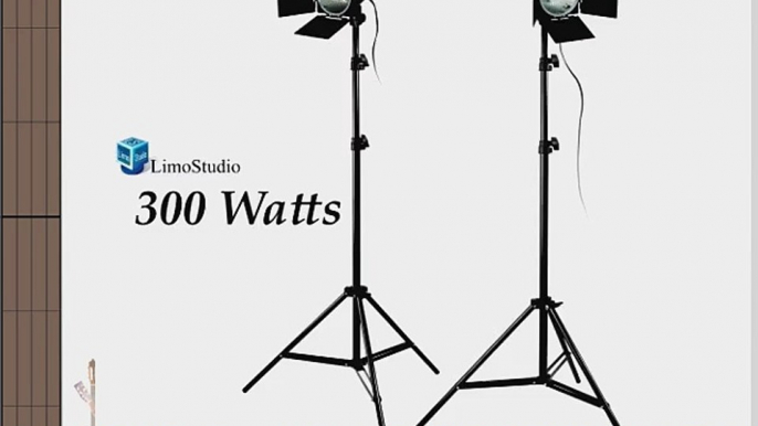 LimoStudio 2 Photography Photo Studio Lighting kit Photo Video Light Barndoor Light with Dimmer