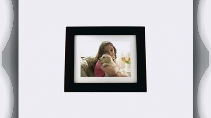 Pandigital PAN8004W01C 8-Inch LCD Digital Picture Frame Black 2GB Memory