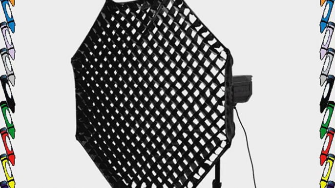 CowboyStudio 60-Inch Octagon Grid Softbox for Alien Bees (60 INCH OCTA GRID-AB)