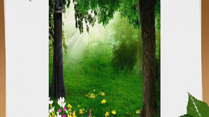 Lush Forests 5' x 7' CP Backdrop Computer Printed Scenic Background GladsBuy Backdrop XLX-249