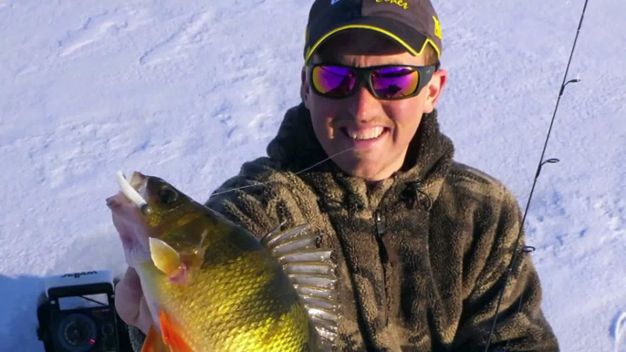 Icefishing Jumbo Perch