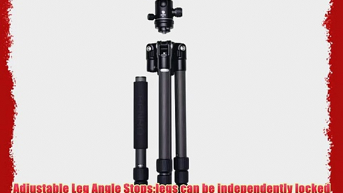 Benro A2691T Travel Angel Transfunctional Tripod Kit with Aluminum Twist Lock Legs with B1