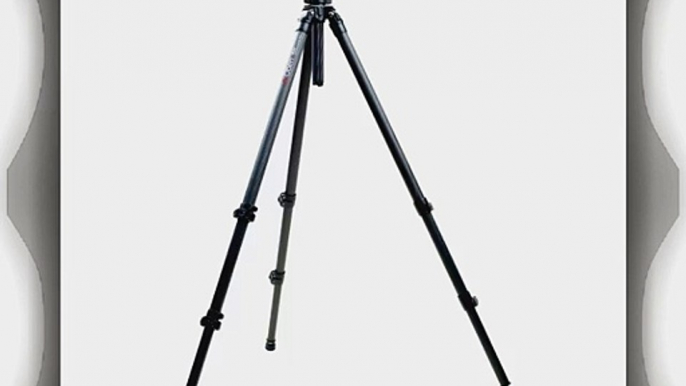 Oben CC-2361 3-Section Carbon Fiber Tripod Legs