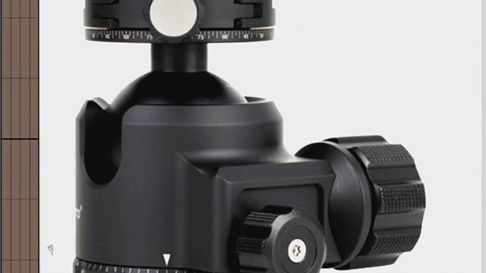 SUNWAYFOTO XB-44DDH2 Tripod Ball Head Arca Compatible Low COG 88lb Max Load XB44 Sunway