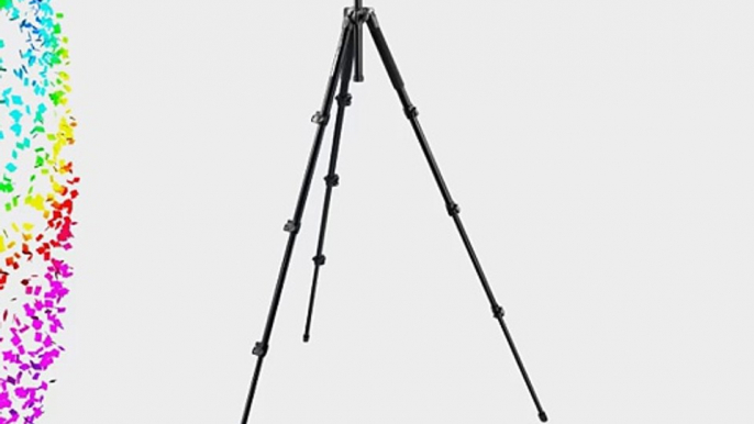 Manfrotto 294 Tripod Kit with Ball Head MK294A4-A0RC2