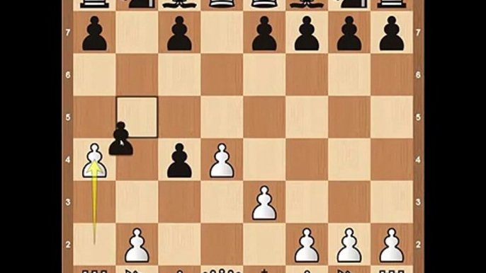 Chess Openings: The Queen's Gambit