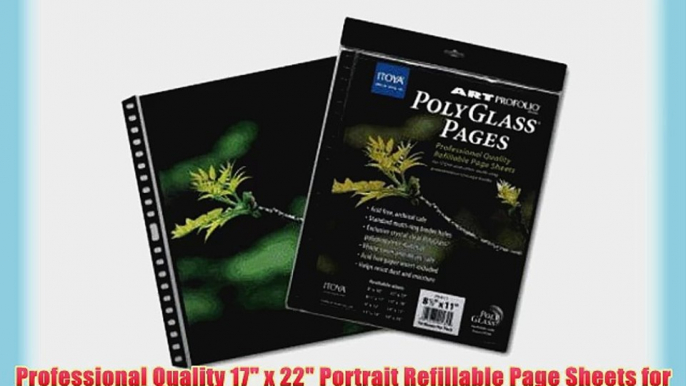 Art Profolio 17 x 22 In. Crystal Clear PolyGlass Pages (10 Sheets)