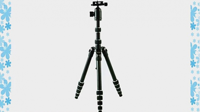 Dolica TX570DS Ultra Compact Tripod with Professional Ball Head and Built-In Monopod (Black)