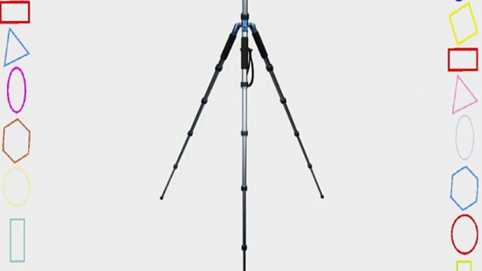 ProMaster XC525 Blue Tripod With Head