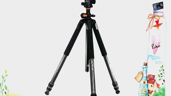 Vanguard Alta Pro 283CB 100 Carbon Fiber Tripod Kit