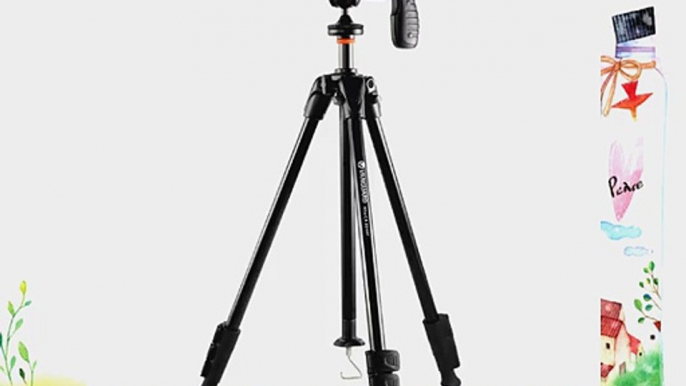 VANGUARD Alta Ca 204Agh Tripod with Gh-30 Pistol Grip Ball Head