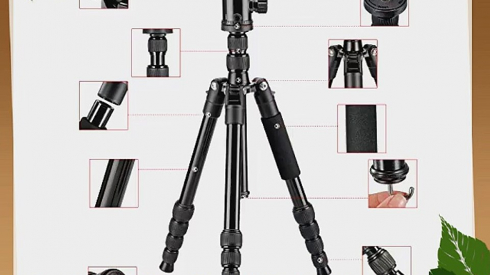 Neewer Portable 63-inch Alluminum Alloy Camera Tripod Monopod with 360? Ball Head and Bubble