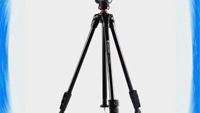 VANGUARD Alta Ca 204Ap Tripod with Ph-33 Pan Head