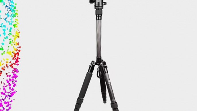 Sirui T-025x Carbon Fiber Tripod with C-10 Ball Head