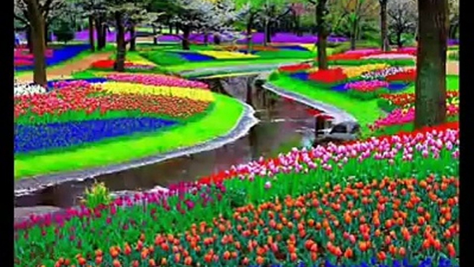 Most beautiful garden of the world. Amazing.