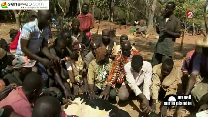 Un Œil Sur La Planète Sur Le Mali, France2 Diffuse Les Images Inédites  (2/2)