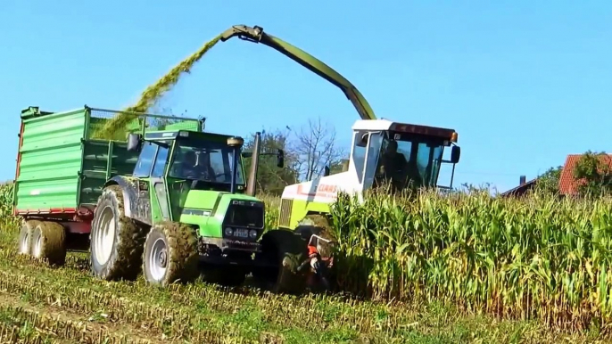 Maishäckseln mit Claas Jaguar 695 Mega, Deutz-Fahr DX 110 und Massey Ferguson 8140