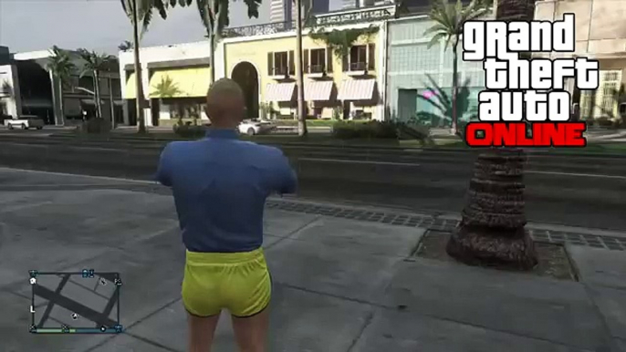 GTA 5 Glitches - Invisible Body Glitch - Funny Animation Glitch! "GTA 5 Glitches" [GTA 5]