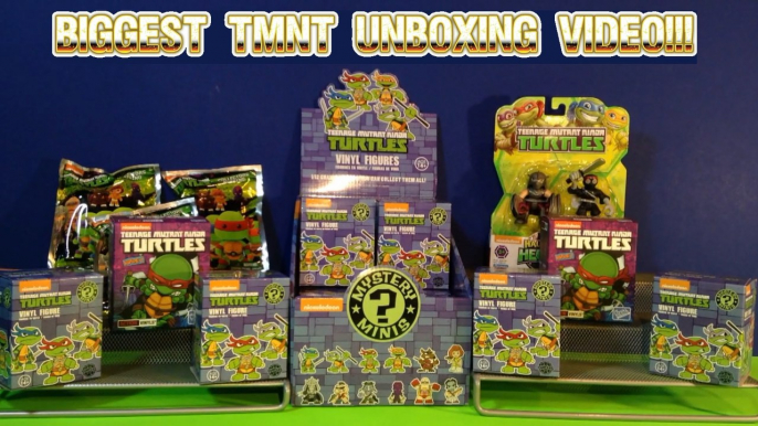 Biggest Teenage Mutant Ninja Turtles TMNT Unboxing! Case of Mystery Minis, Kidrobot Blind Boxes!