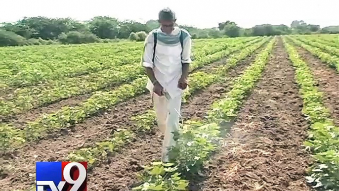 Gujarat government's '50-50 Formula'  to bring cheer to farmers - Tv9 Gujarati