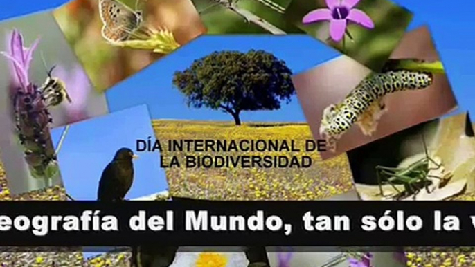 DÍA MUNDIAL DE LA BIODIVERSIDAD (22 DE MAYO 2014) EL PLANETA TIERRA. FLORA, FAUNA Y ekologia.com.ve