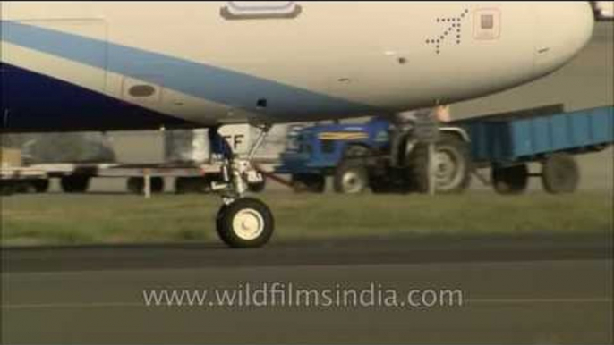 Indigo plane takes off while Air India Airbus berths and Jet takes off