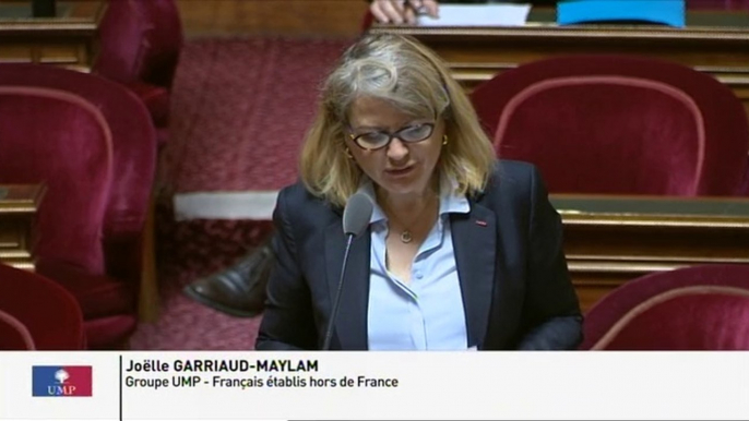 Duplicata du permis de conduire : " Les Français de l'étranger rencontrent de nombreuses difficultés pour obtenir un duplicata de leur permis de conduire français, en cas de vol ou de perte ! "