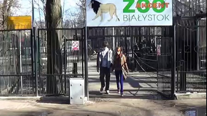 Zoo Białystok cz.1  ,The Zoological Garden,   Der Zoologische Garten, Зоологический сад
