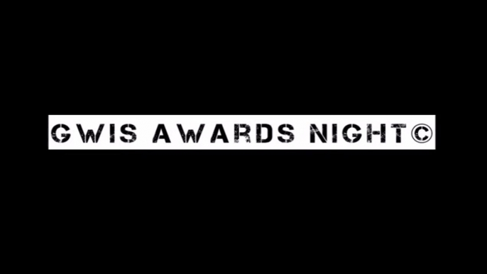 GWIS Awards Night 2014 In A Nutshell