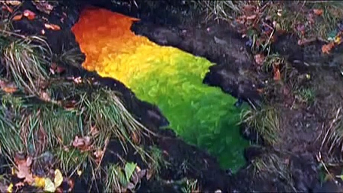 Andy Goldsworthy - Rivers and tide (2003) - début