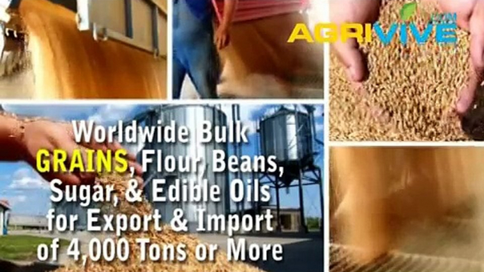 Bulk Grains Trade, Grains Trade, Grains Trade, Grains Trade, Grains Trade, Grains Trade, Grains Trade