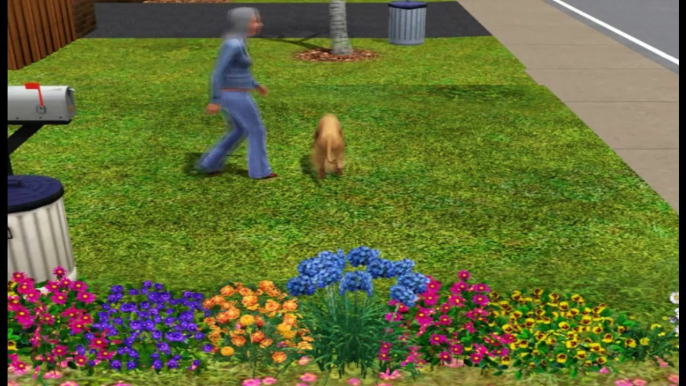 The Sims 3 Pets - Dogs