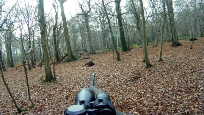 Chasse HD : Tirs de 2 sangliers - Battue de Sangliers - Caméra embarquée GoPro