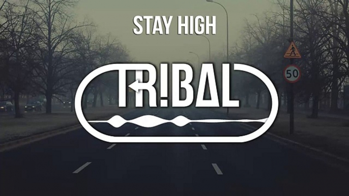 Tove Lo - Stay High ft. Hippie Sabotage (U$IK Trap Remix)