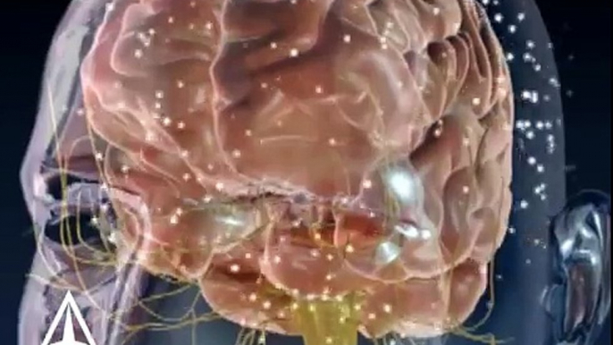 Neurotransmission - 3D Medical Animation