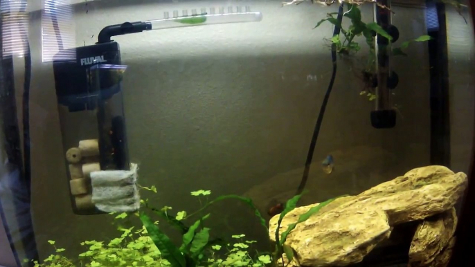 Fluval Nano Filter Review