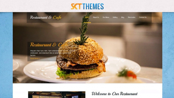 Amazing Look Professional Premium Wordpress Themes